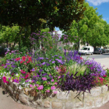 Ville-fleurie-diaporama